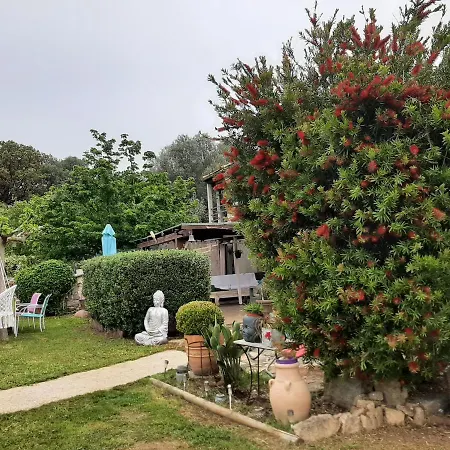 Orasi Chalet Casa Fiurita