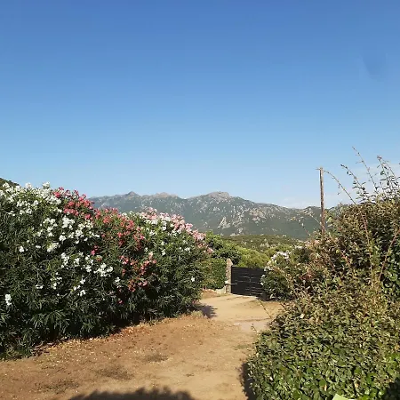 Chalet Orasi Casa Fiurita Sartène